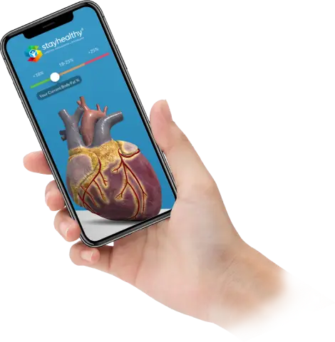 A hand holding a phone running the AR Organ Visualizer with a 3D heart